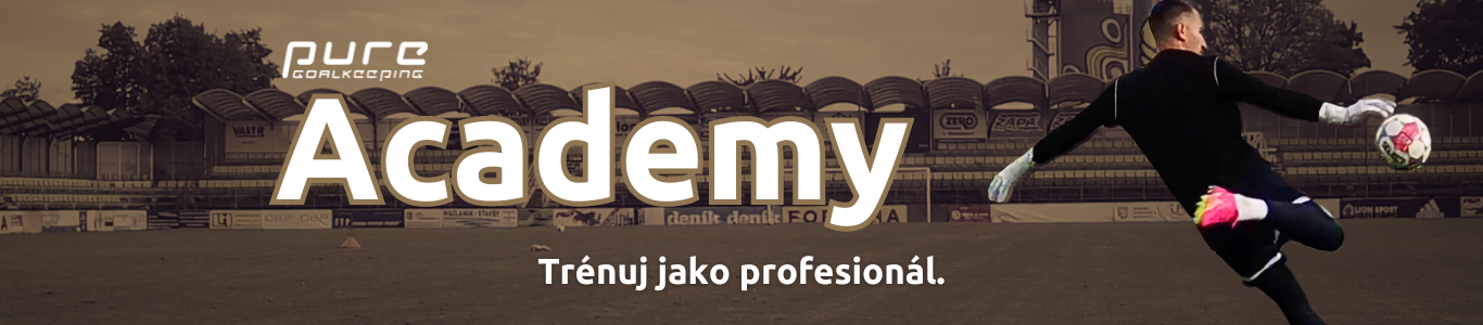 Academy (Web)_1